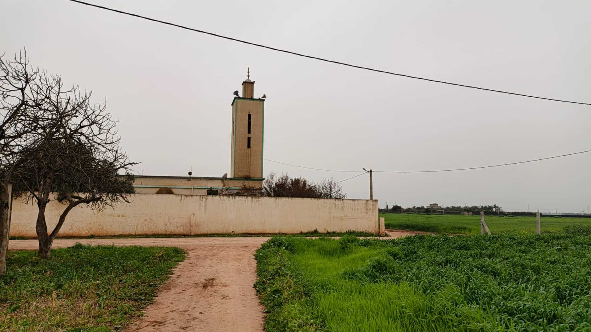 Photo de مسجد أولاد فايدة - أولاد صباح